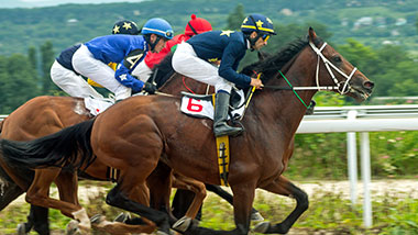 Once in a Lifetime Derby Experience Giveaway Hollywood Gaming at Mahoning Valley Racecourse