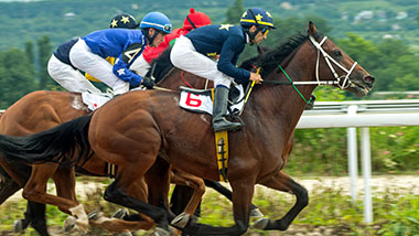 Hollywood Gaming Mahoning Valley Race Course