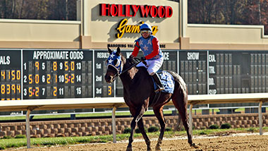 Hollywood Gaming Mahoning Valley Race Course