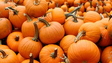 Pumpkins