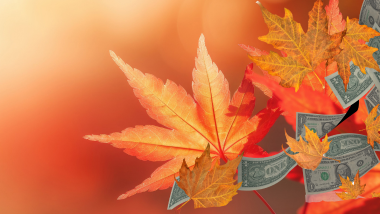 Fall leaves and Cash